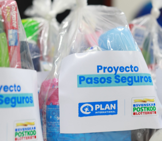 Programa “Pasos Seguros” en&nbsp;Perú