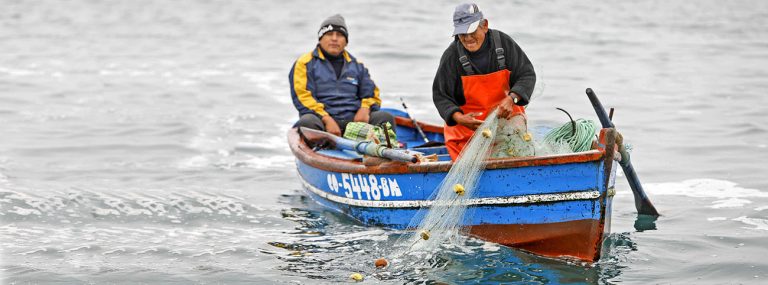 Perú destaca el rol de la pesca artesanal en el Día del&nbsp;Pescador