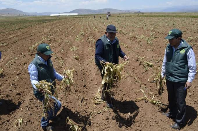 Perú enfrenta una creciente crisis por falta de agua